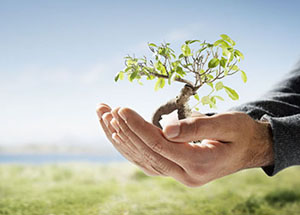 Man holding plant in Suffolk county